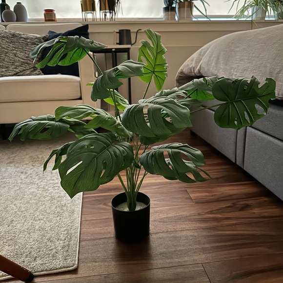 Artificial 28” Monstera Plant - Picture 3 of 5